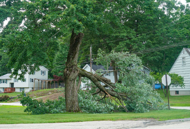 Best Utility Line Clearance  in East Lansing, MI